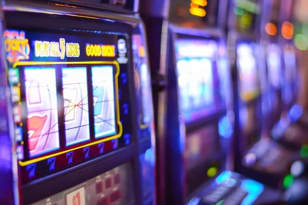 zh555 Sportsbook